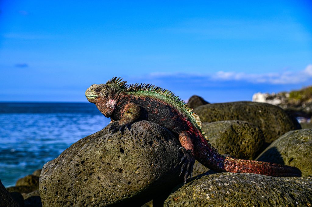Expertos en las Islas Galápagos escogen Valencia para debatir sobre sostenibilidad
